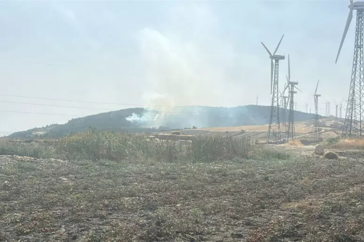 Incendi in Puglia, fiamme sul Gargano e sui Monti Dauni: i roghi domati nella notte Incendi in Puglia, fiamme sul Gargano e sui Monti Dauni: i roghi domati nella notte