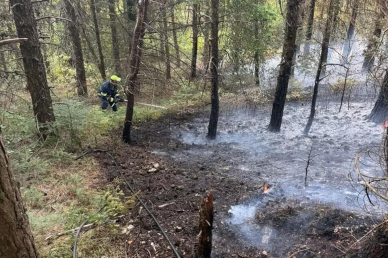 incendio alberona