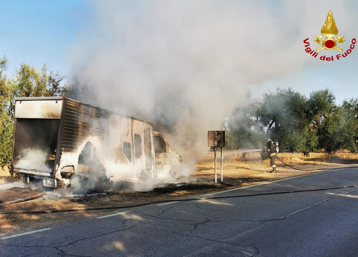 Paura sulla provinciale nel Barese, a fuoco un furgone: danneggiati alcuni ulivi – FOTO