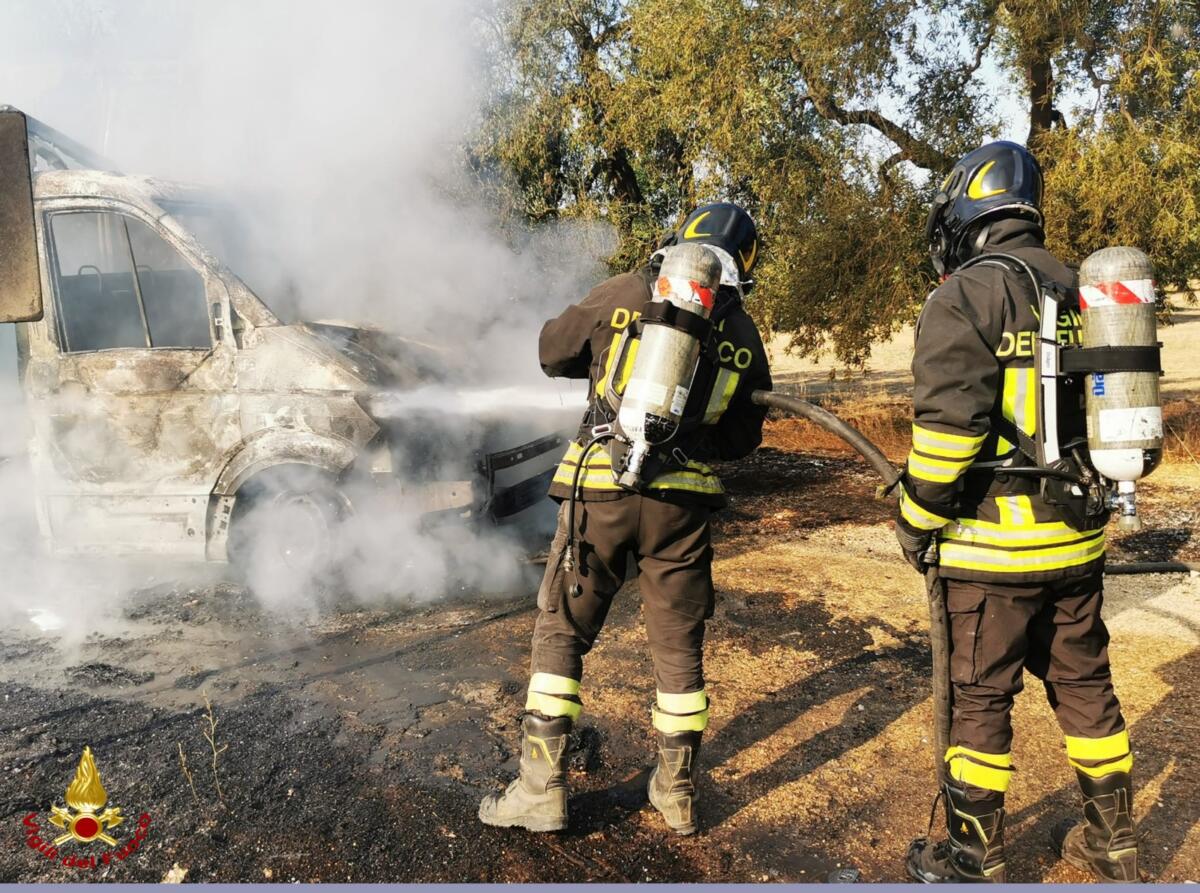 Paura sulla provinciale nel Barese, a fuoco un furgone: danneggiati alcuni ulivi – FOTO