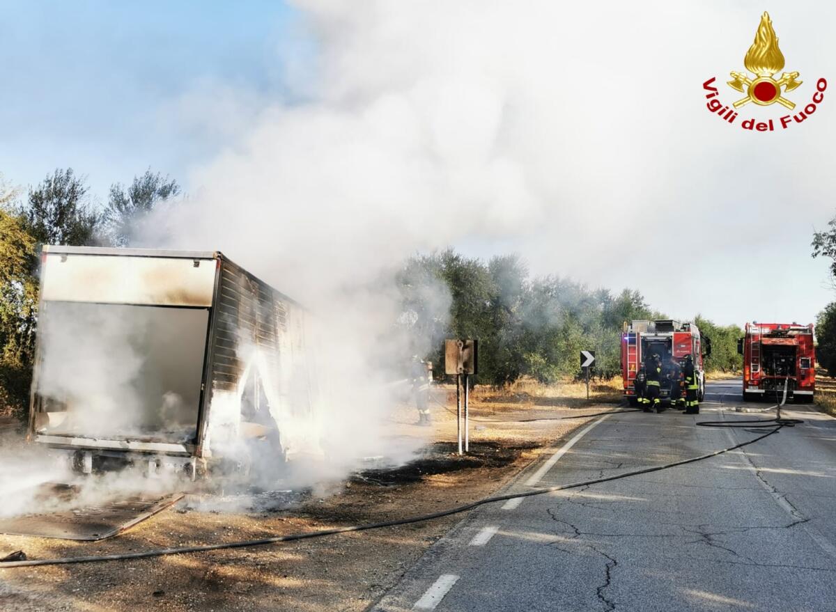 Paura sulla provinciale nel Barese, a fuoco un furgone: danneggiati alcuni ulivi – FOTO