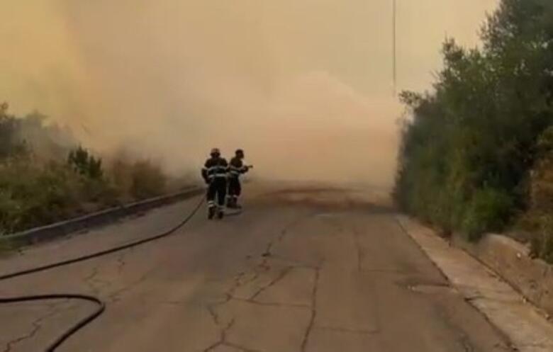 incendio ginosa