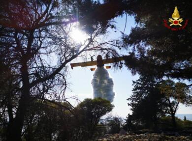 Gravina, incendio a Bosco Pantano: 50 ettari in fiamme, evacuate abitazioni