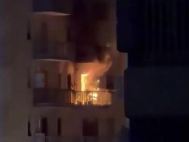 Martina Franca, barboncino-eroe abbaia e salva cinque persone da un incendio ma muore tra le fiamme