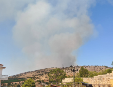 Vasto incendio nel Nord Barese: bruciati 100 ettari di bosco a Minervino Murge