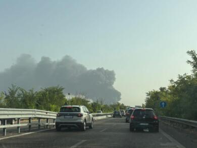 Nuova raffica di incendi nel Salento: Vigili del Fuoco al lavoro tra Nardò, Lequile e Collepasso