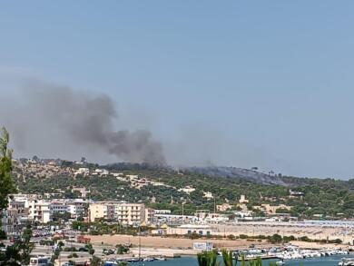Fiamme sul Gargano, vasto incendio a Vieste. Canadair in azione a Monte Sant’Angelo