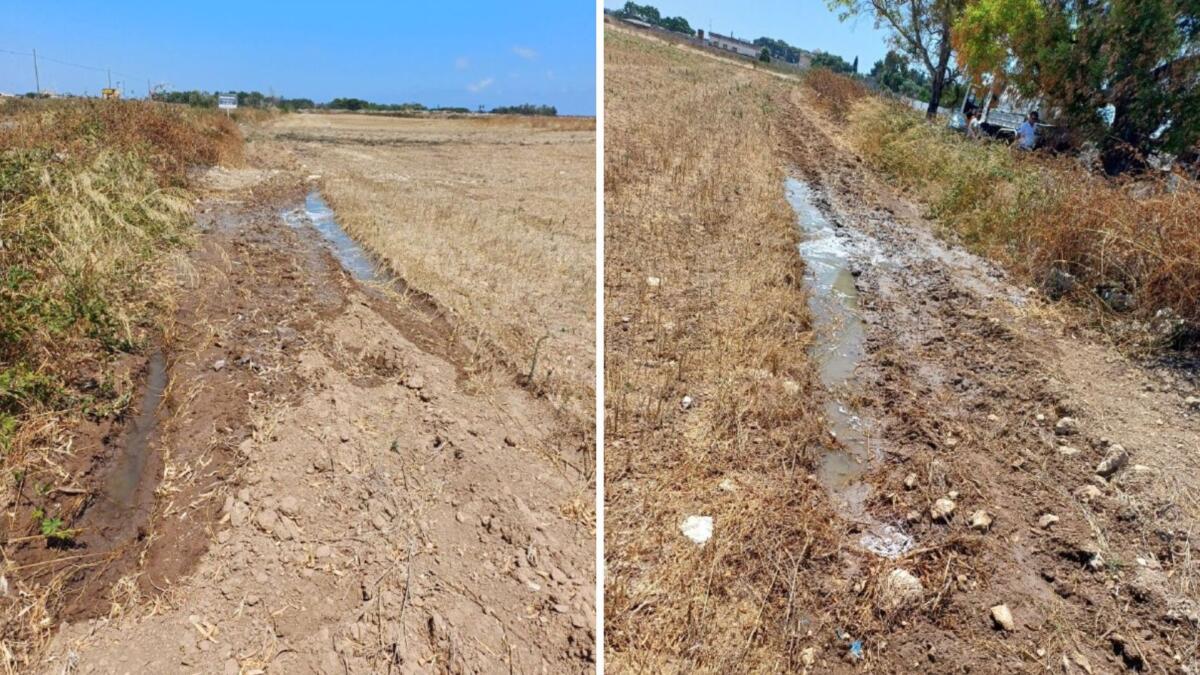 Sversamento di liquami a Lecce, due denunce: l’intervento dei vigili dopo la segnalazione di un cittadino Sversamento di liquami a Lecce, due denunce: l’intervento dei vigili dopo la segnalazione di un cittadino