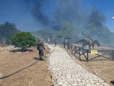 Fiamme a Borgo Celano, incendio lambisce il Parco dei Dinosauri nel Foggiano: turisti evacuati