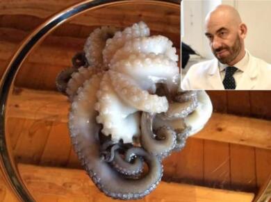 «L’allarme dell’infettivologo? Chiacchiere, abbiamo gli anticorpi»: Bari difende la tradizione del polpo crudo contro Bassetti