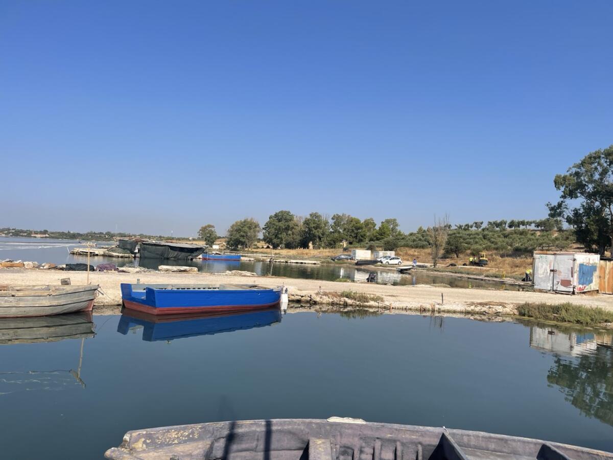 Taranto, via alla rimozione di rifiuti e materiali spiaggiati lungo le coste del mar Piccolo Taranto, via alla rimozione di rifiuti e materiali spiaggiati lungo le coste del mar Piccolo