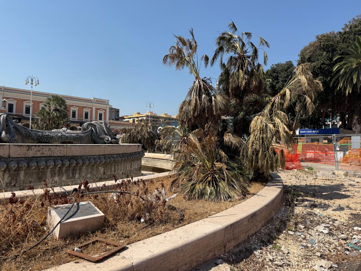 Bari, sopralluogo di Leccese nel cantiere di piazza Moro: il sindaco chiede più attenzione al verde pubblico – FOTO Bari, sopralluogo di Leccese nel cantiere di piazza Moro: il sindaco chiede più attenzione al verde pubblico – FOTO