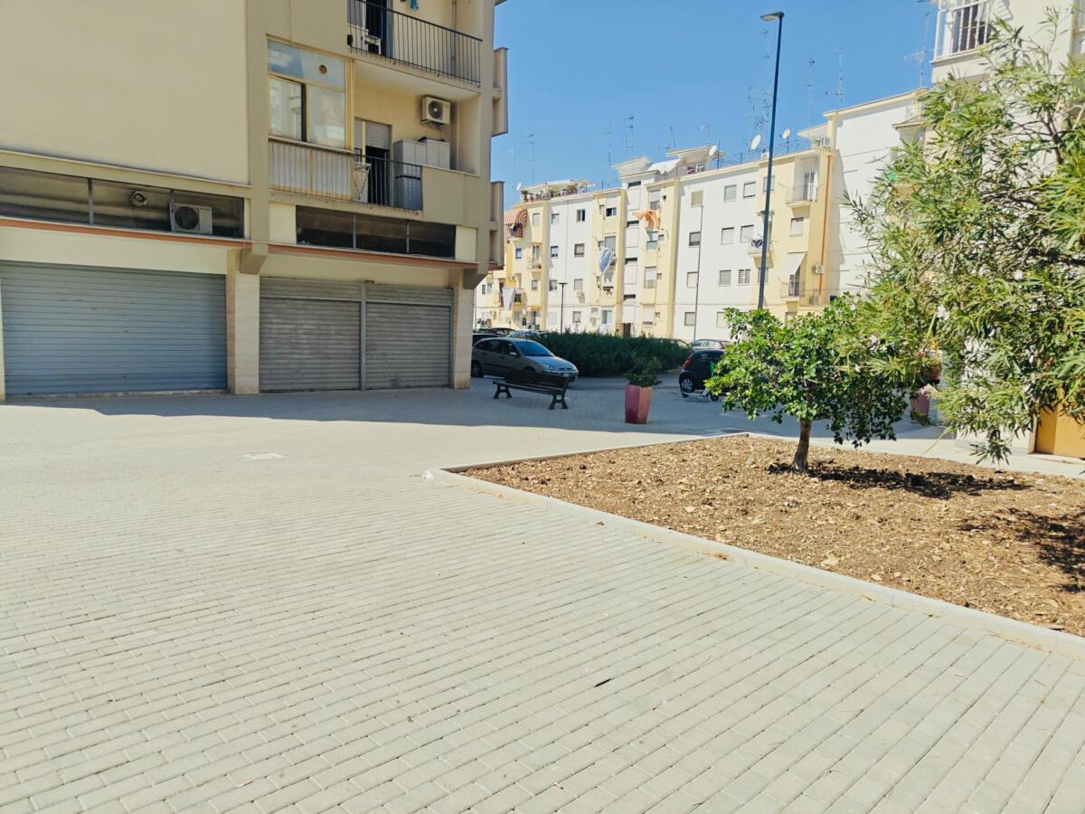 Brt Bari, San Marcello cambia volto. Scaramuzzi: «Riqualificazione a servizio del Campus e dei residenti» Brt Bari, San Marcello cambia volto. Scaramuzzi: «Riqualificazione a servizio del Campus e dei residenti»