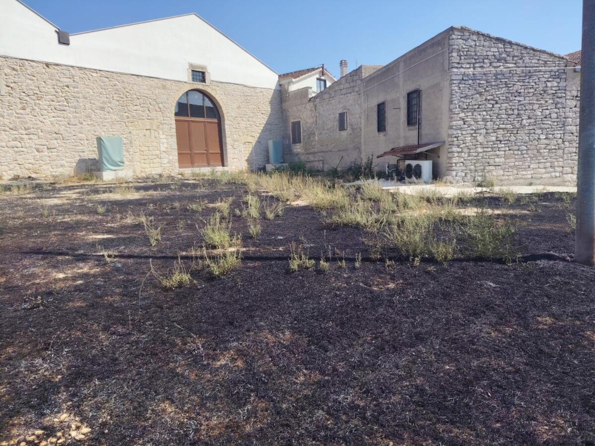 Andria, maxi rogo alle pendici di Castel del Monte: in fumo oltre 30 ettari – VIDEO Andria, maxi rogo alle pendici di Castel del Monte: in fumo oltre 30 ettari – VIDEO