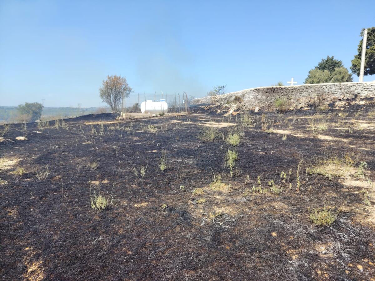 Andria, maxi rogo alle pendici di Castel del Monte: in fumo oltre 30 ettari – VIDEO Andria, maxi rogo alle pendici di Castel del Monte: in fumo oltre 30 ettari – VIDEO