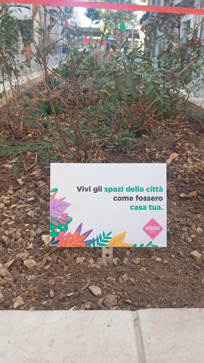 Lavori in via Manzoni a Bari, piantati nuovi alberi: «Prende forma il volto verde della strada» – FOTO e VIDEO