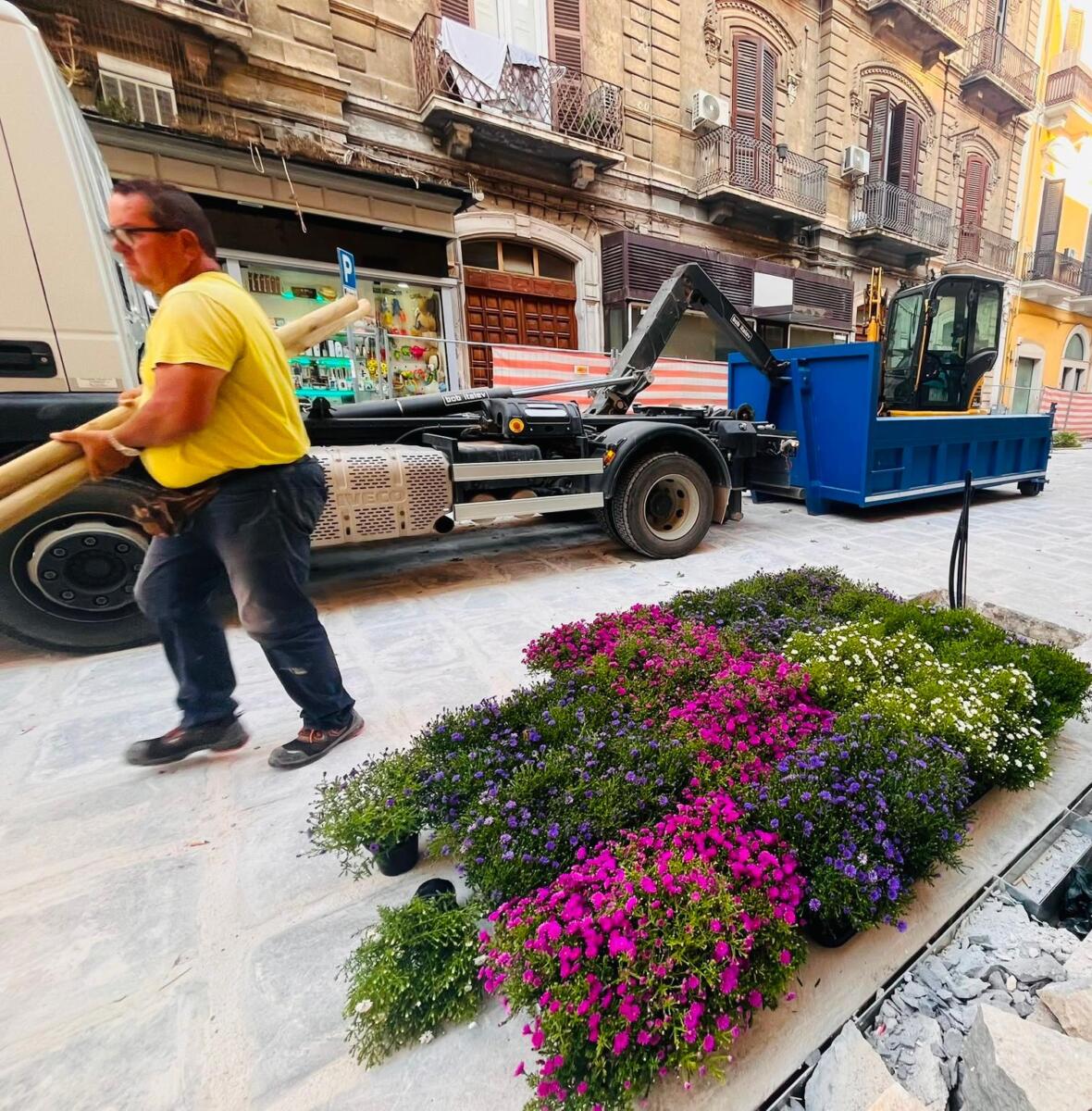 Lavori in via Manzoni a Bari, piantati nuovi alberi: «Prende forma il volto verde della strada» – FOTO e VIDEO