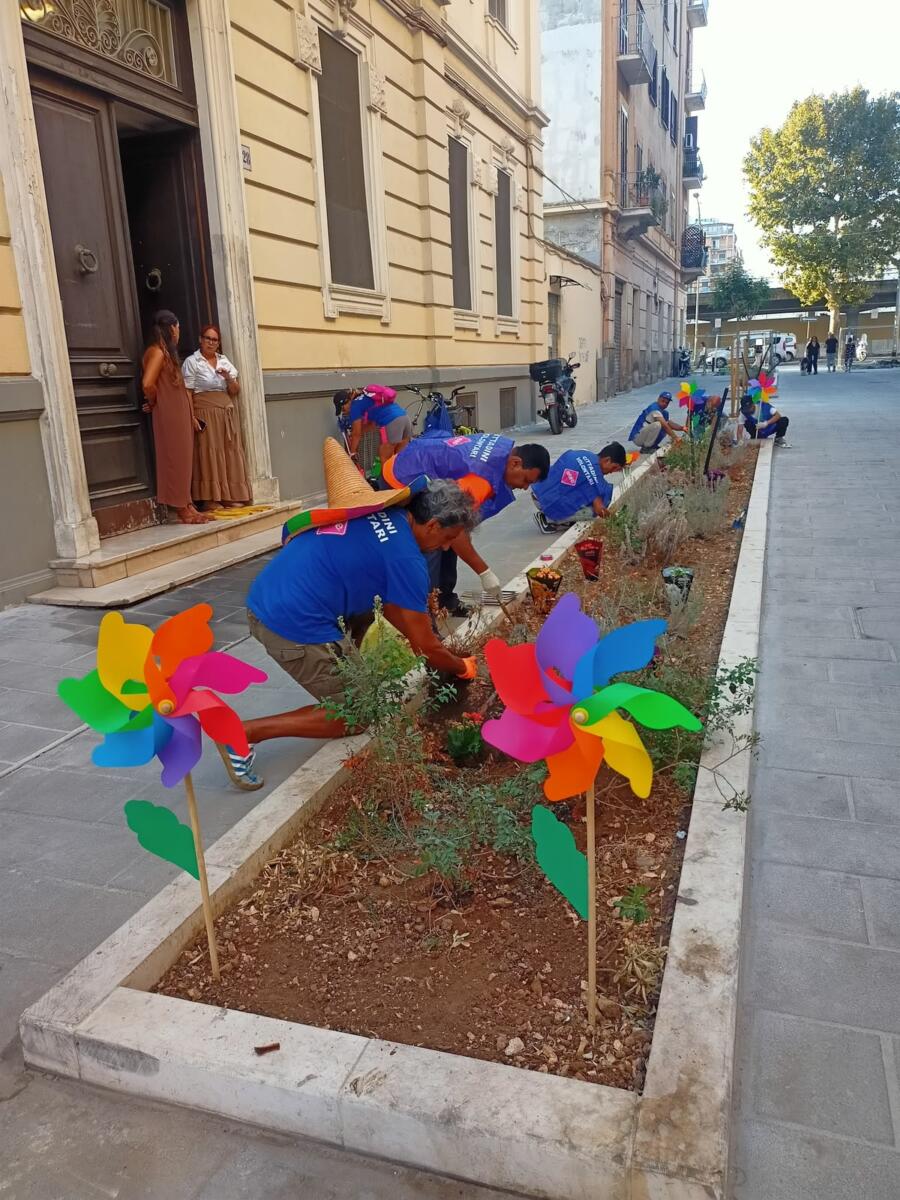 Lavori in via Manzoni a Bari, piantati nuovi alberi: «Prende forma il volto verde della strada» – FOTO e VIDEO