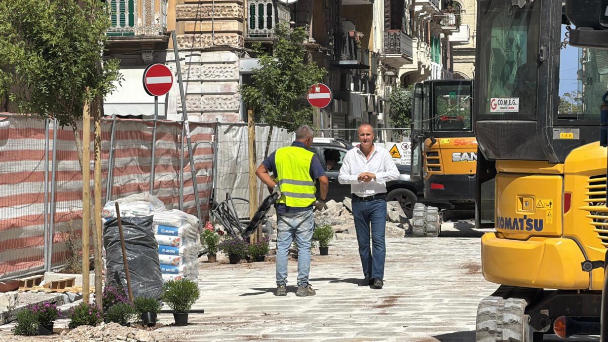 Lavori in via Manzoni a Bari, piantati nuovi alberi: «Prende forma il volto verde della strada» – FOTO e VIDEO
