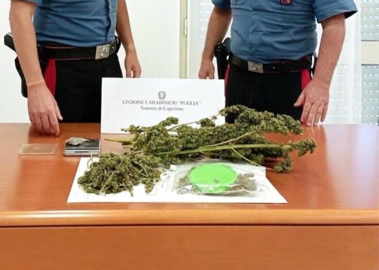 droga copertino