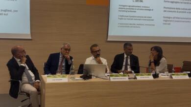 “Filiere di Puglia”, focus in Fiera del Levante. Paolicelli: «Confronto e partecipazione» – VIDEO