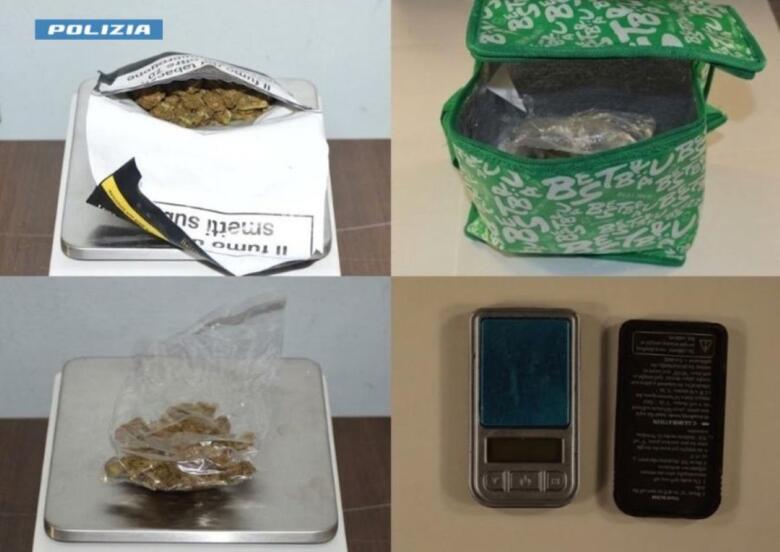 hashish marijuana
