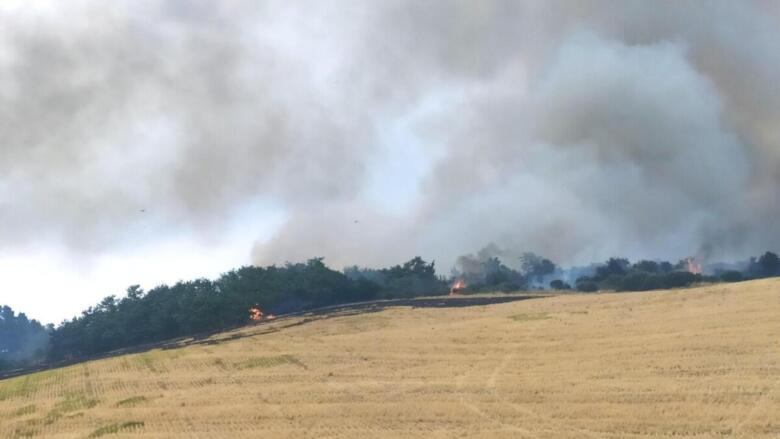 incendio serracapriola