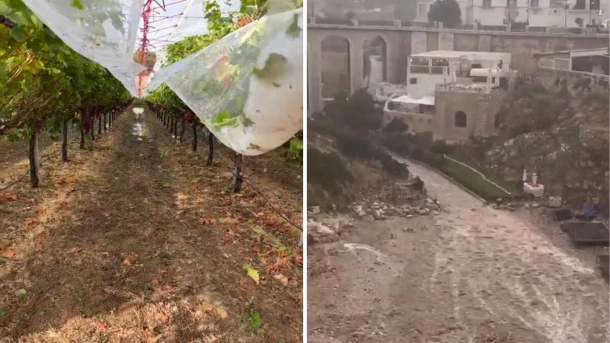 Maltempo, danni sulla Murgia. E a Polignano un torrente di acqua e fango in Lama Monachile – FOTO e VIDEO