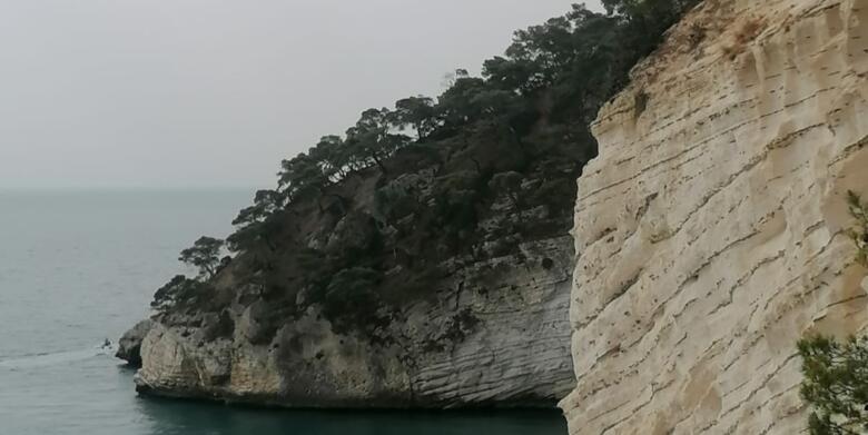 monte barone