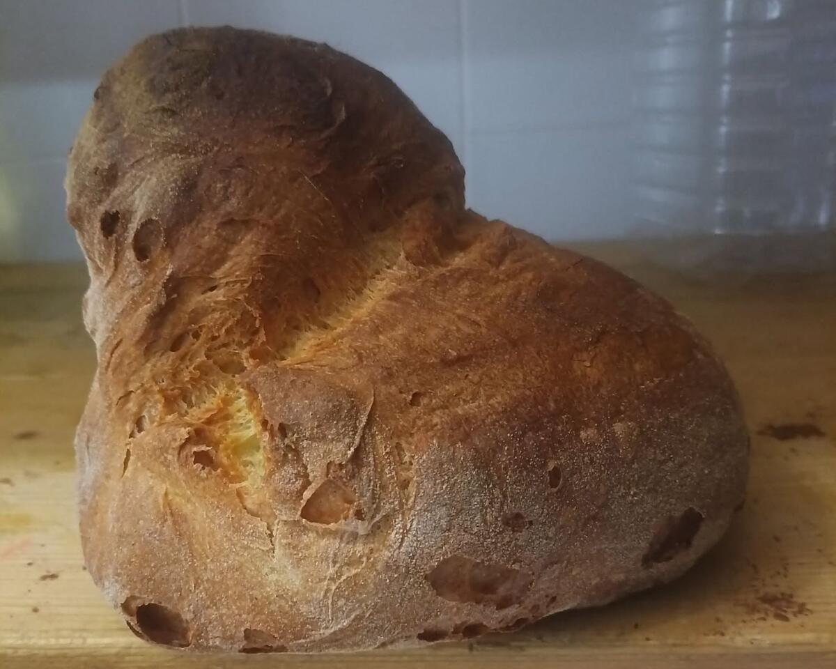 Gambero Rosso stronca il pane di Altamura: «È sopravvalutato». La polemica corre sui social Gambero Rosso stronca il pane di Altamura: «È sopravvalutato». La polemica corre sui social