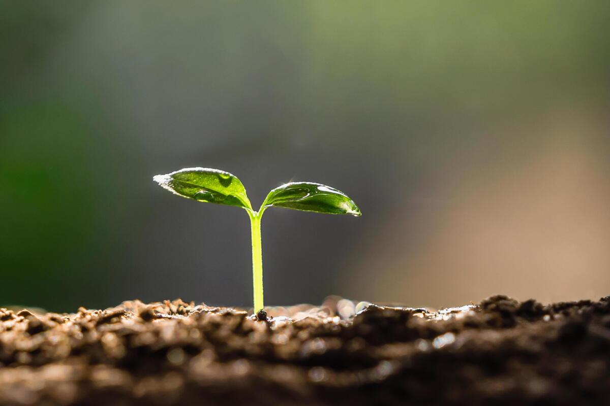 Lo sviluppo economico deve guardare alle future generazioni Lo sviluppo economico deve guardare alle future generazioni