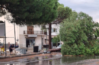 Violenta tromba d’aria su Policoro: alberi sradicati, allagamenti e tanti danni. Nessun ferito