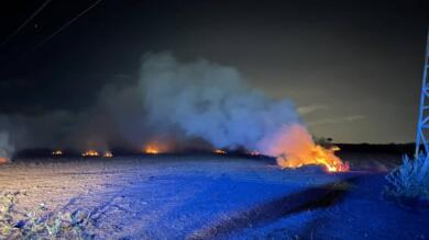 San Severo, residui vegetali incendiati nei terreni agricoli: sanzionati i gestori di un fondo