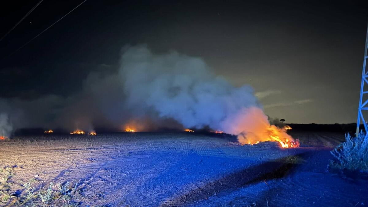 San Severo, residui vegetali incendiati nei terreni agricoli: sanzionati i gestori di un fondo San Severo, residui vegetali incendiati nei terreni agricoli: sanzionati i gestori di un fondo