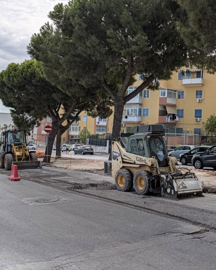 Bari, maxi-riqualificazione da 1,2 milioni di euro al San Paolo: cambia volto viale delle Regioni Bari, maxi-riqualificazione da 1,2 milioni di euro al San Paolo: cambia volto viale delle Regioni