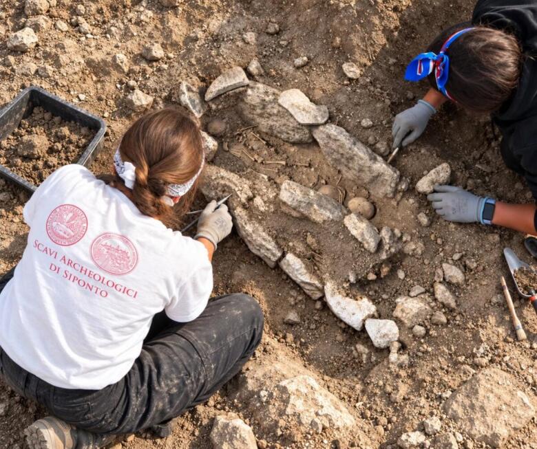 scavi archeologici siponto