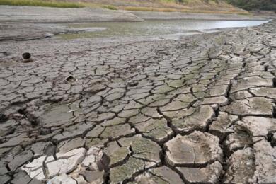 Clima, allarme Onu su El Niño: il pianeta è in una “zona di pericolo”. In Italia agricoltura in ginocchio