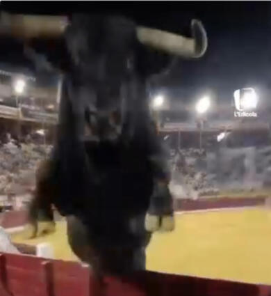 Spagna, toro prendere la rincorsa e salta la barriera dell’arena finendo vicino agli spettatori