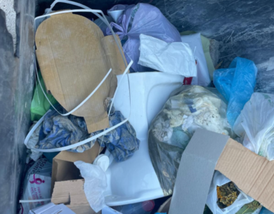 Bari, getta un water nel cassonetto stradale durante i lavori: segnalato da un residente e multato