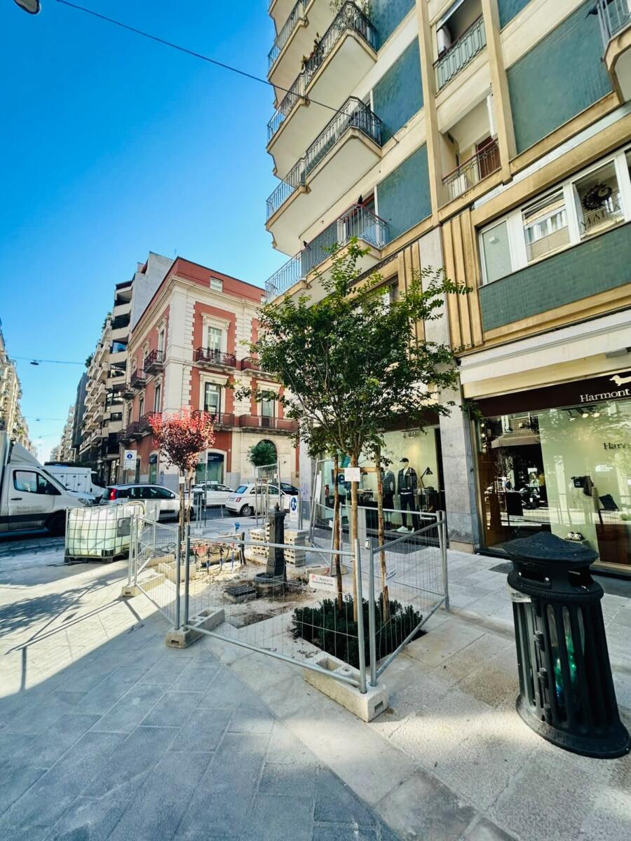 Bari, completati i lavori in via Argiro. Leccese: «I disagi passano, le trasformazioni restano» – FOTO Bari, completati i lavori in via Argiro. Leccese: «I disagi passano, le trasformazioni restano» – FOTO