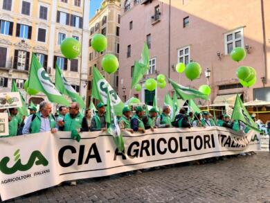 Agricoltori pugliesi a Roma, la protesta con Cia: «Rincari fino al 400%» – VIDEO