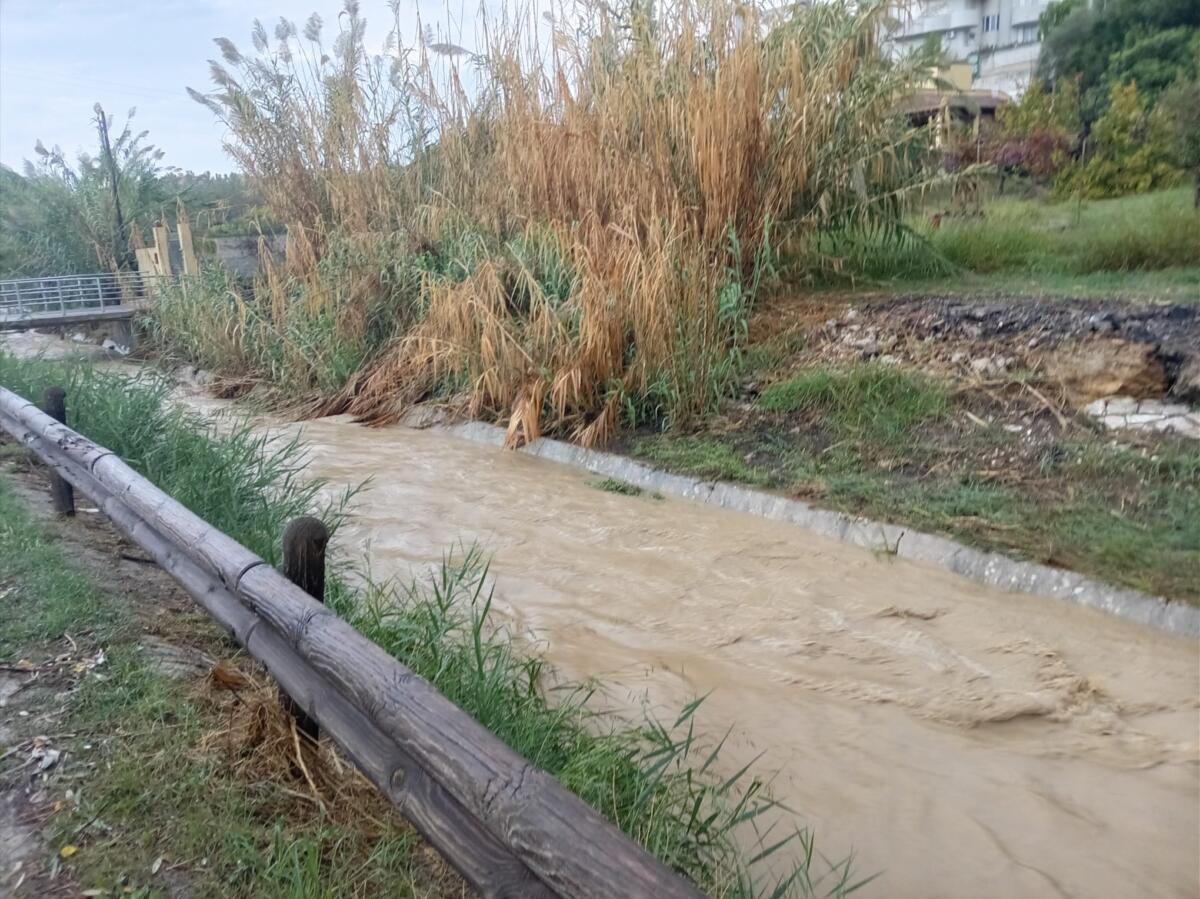 Maltempo in Puglia, violenti acquazzoni nel Brindisino: alberi caduti e strade allagate – FOTO e VIDEO