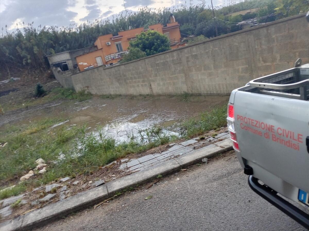 Maltempo in Puglia, violenti acquazzoni nel Brindisino: alberi caduti e strade allagate – FOTO e VIDEO