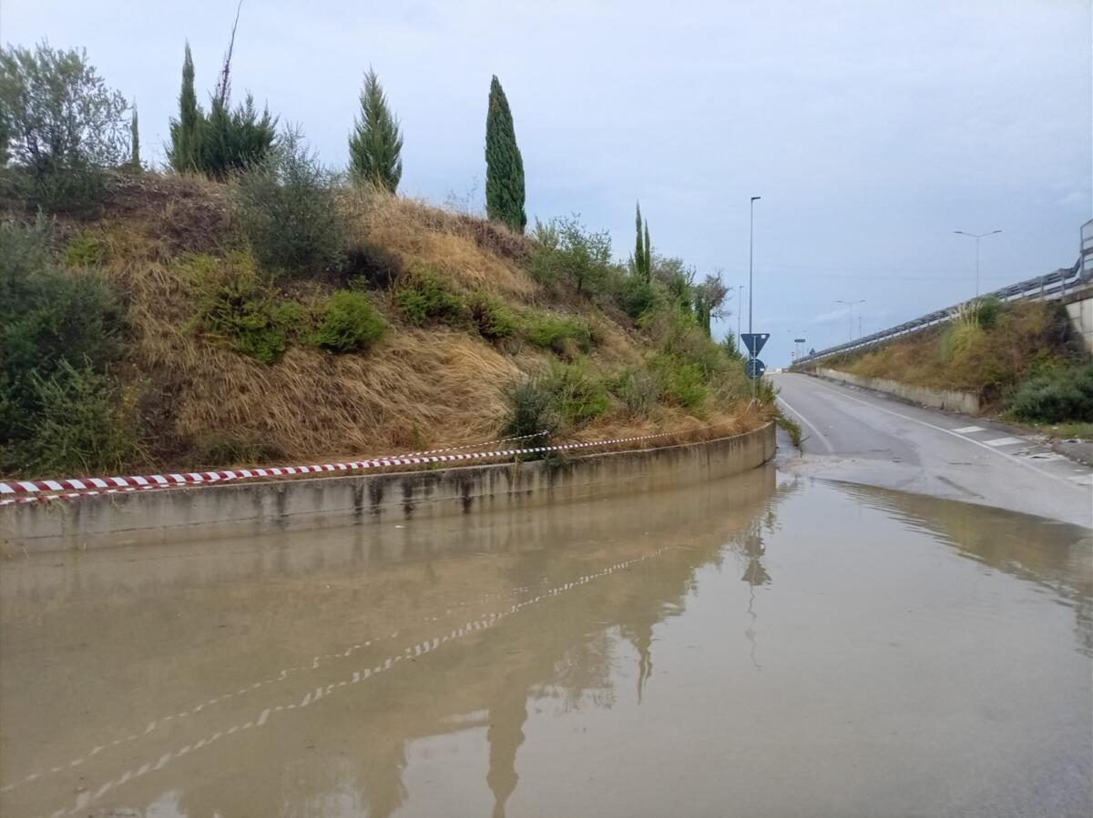 Maltempo in Puglia, violenti acquazzoni nel Brindisino: alberi caduti e strade allagate – FOTO e VIDEO