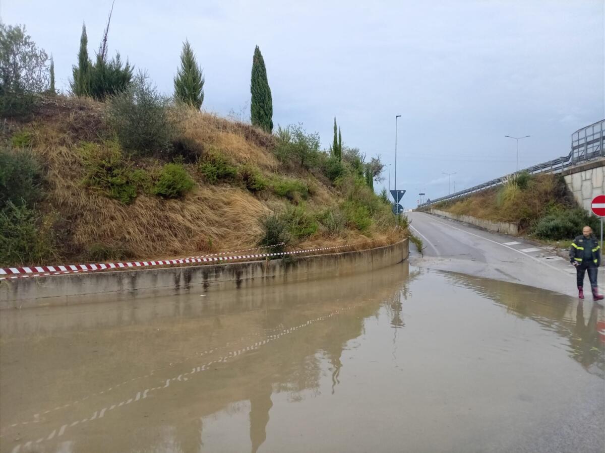 Maltempo in Puglia, violenti acquazzoni nel Brindisino: alberi caduti e strade allagate – FOTO e VIDEO