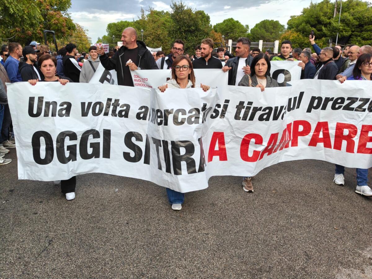 Andria scende in piazza, in migliaia tra studenti e lavoratori: serrande abbassate e sindaci della Bat in prima linea