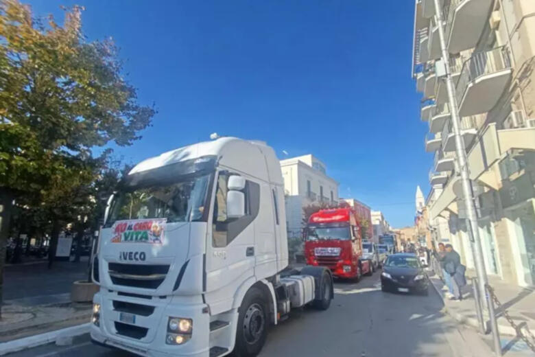 autotrasportatori