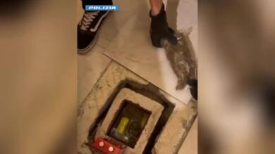 Aradeo, nasconde mezzo chilo di droga in una cassaforte sotto una mattonella: arrestato 30enne – VIDEO