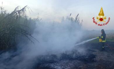 Brindisi, rogo in zona Jaddico: Vigili del Fuoco a lavoro tra pneumatici in disuso e vegetazione
