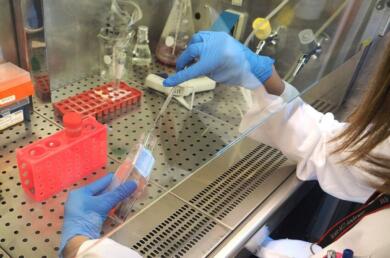 San Giovanni Rotondo, l’ospedale di San Pio premiato per le produzioni scientifiche nella medicina di genere
